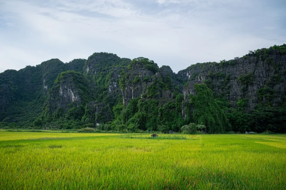 Kho gạo của Lê Ngọc Hùng